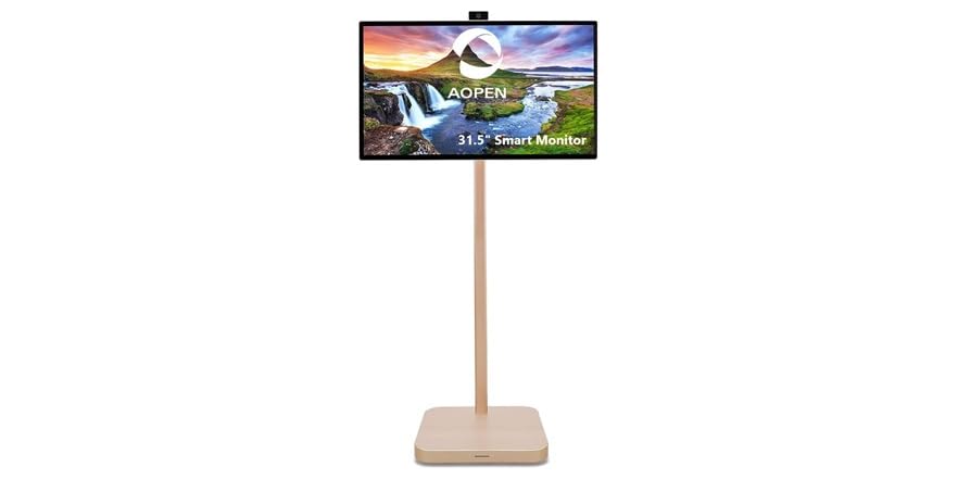 AOPEN 31.5