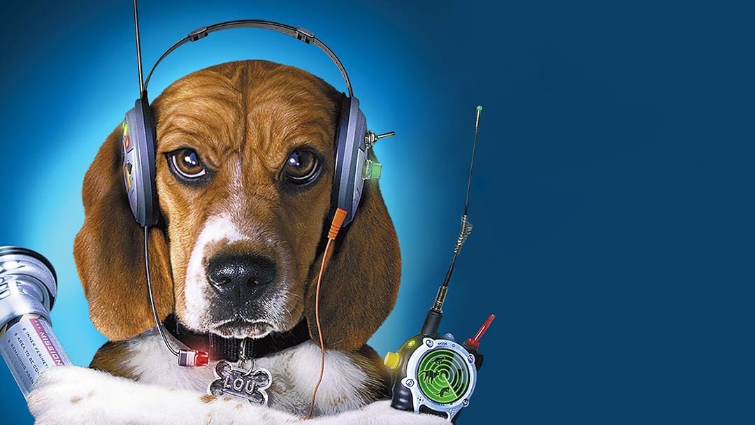 Prime Video Cats & Dogs