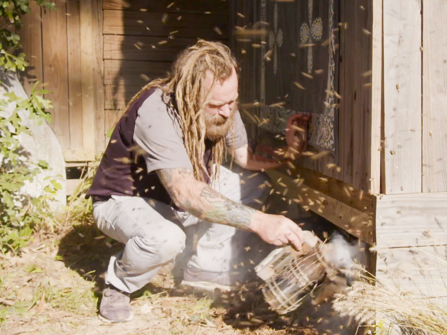 Prime Video Bee Czar Season 1