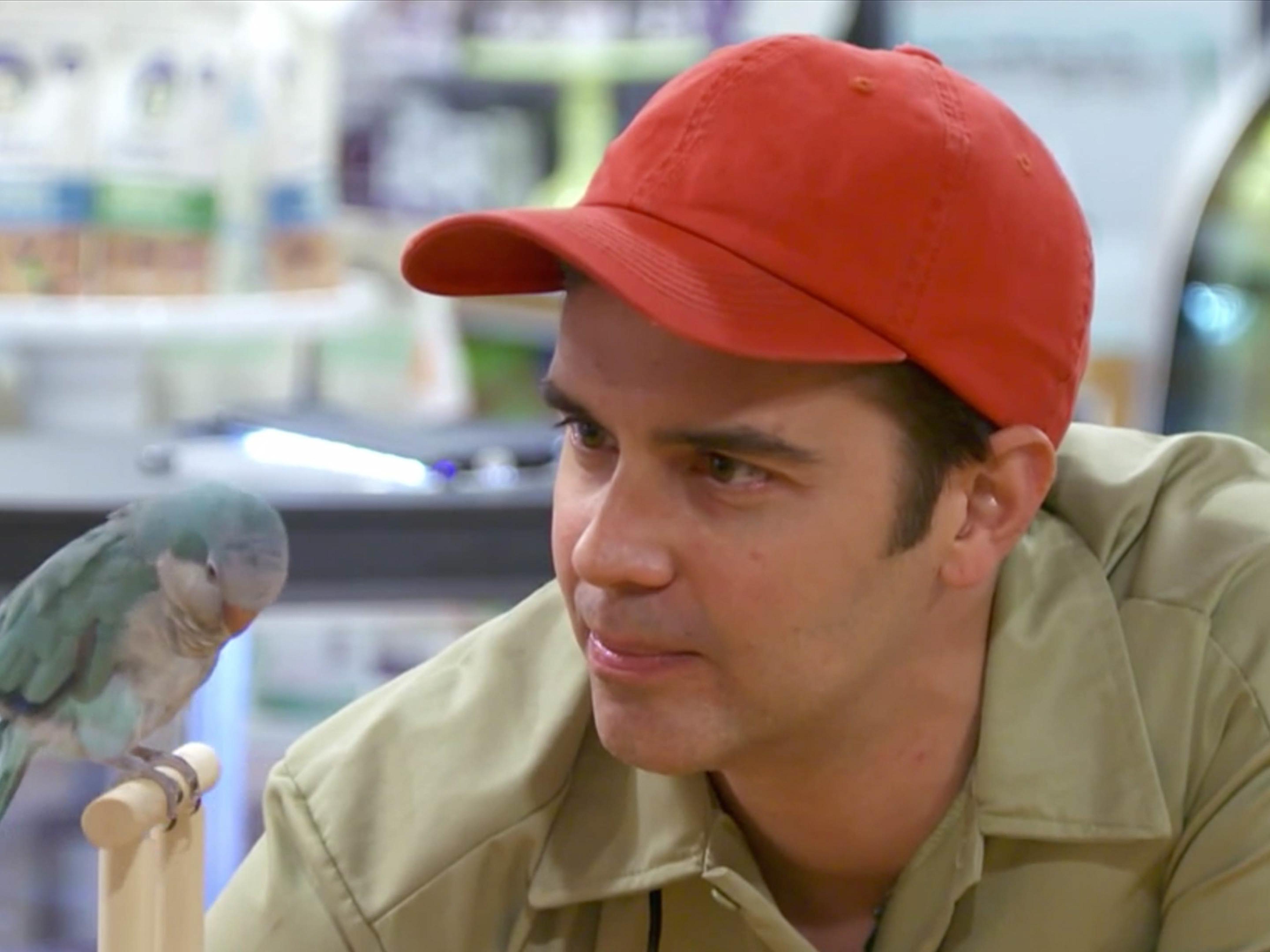 Prime Video The Carbonaro Effect Season 5