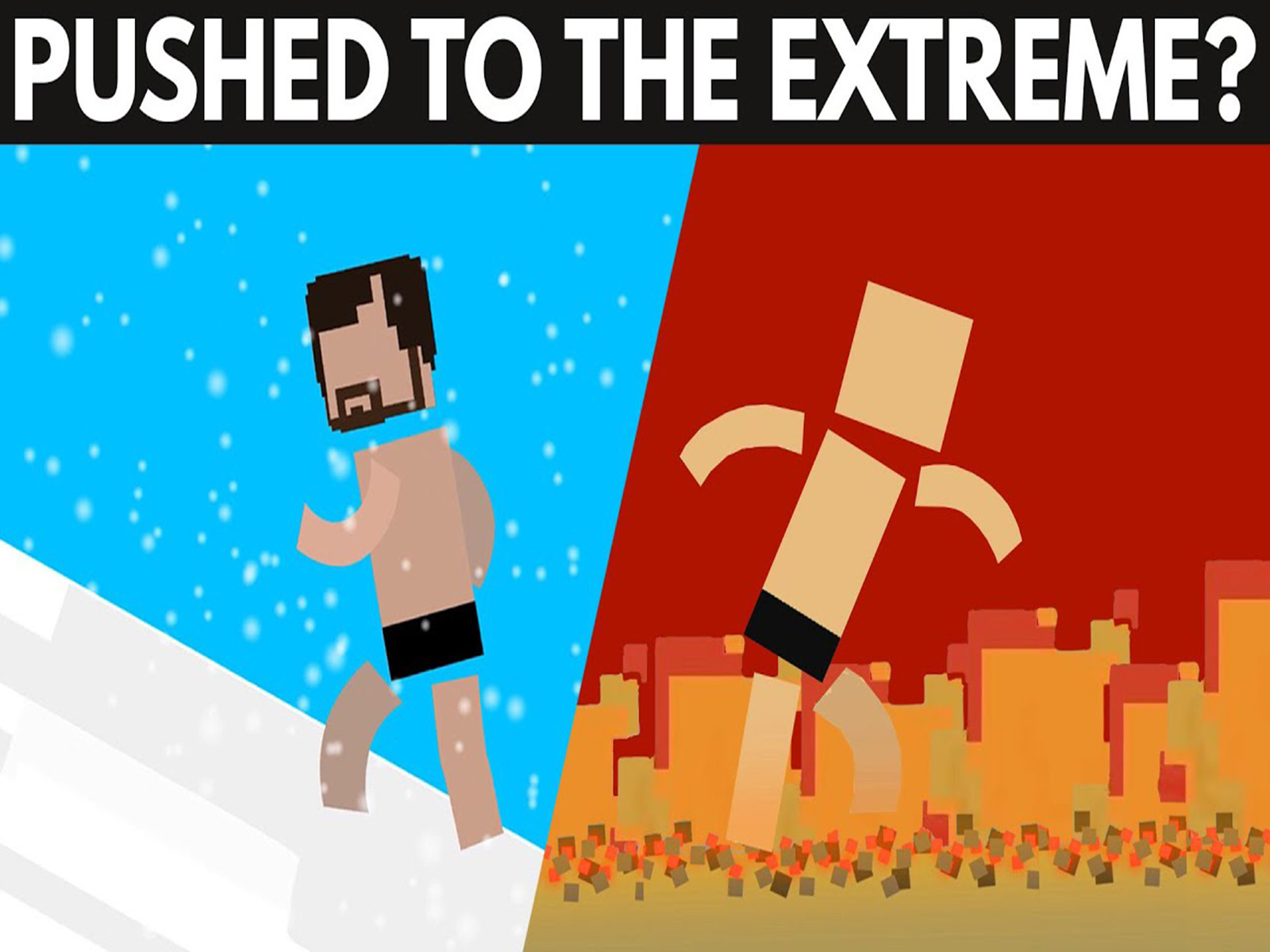 does noggin come with prime