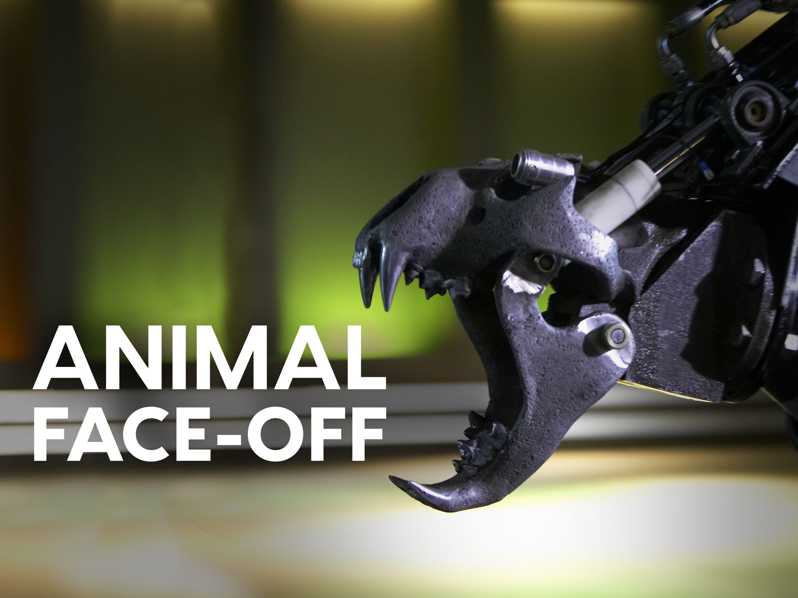 Prime Video Animal FaceOff Season 1