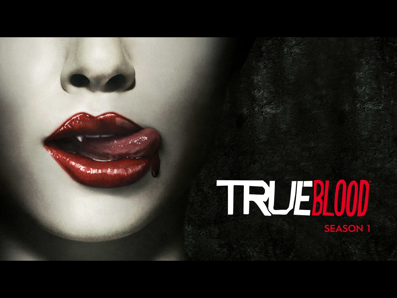 Prime Video: True Blood-Season 1