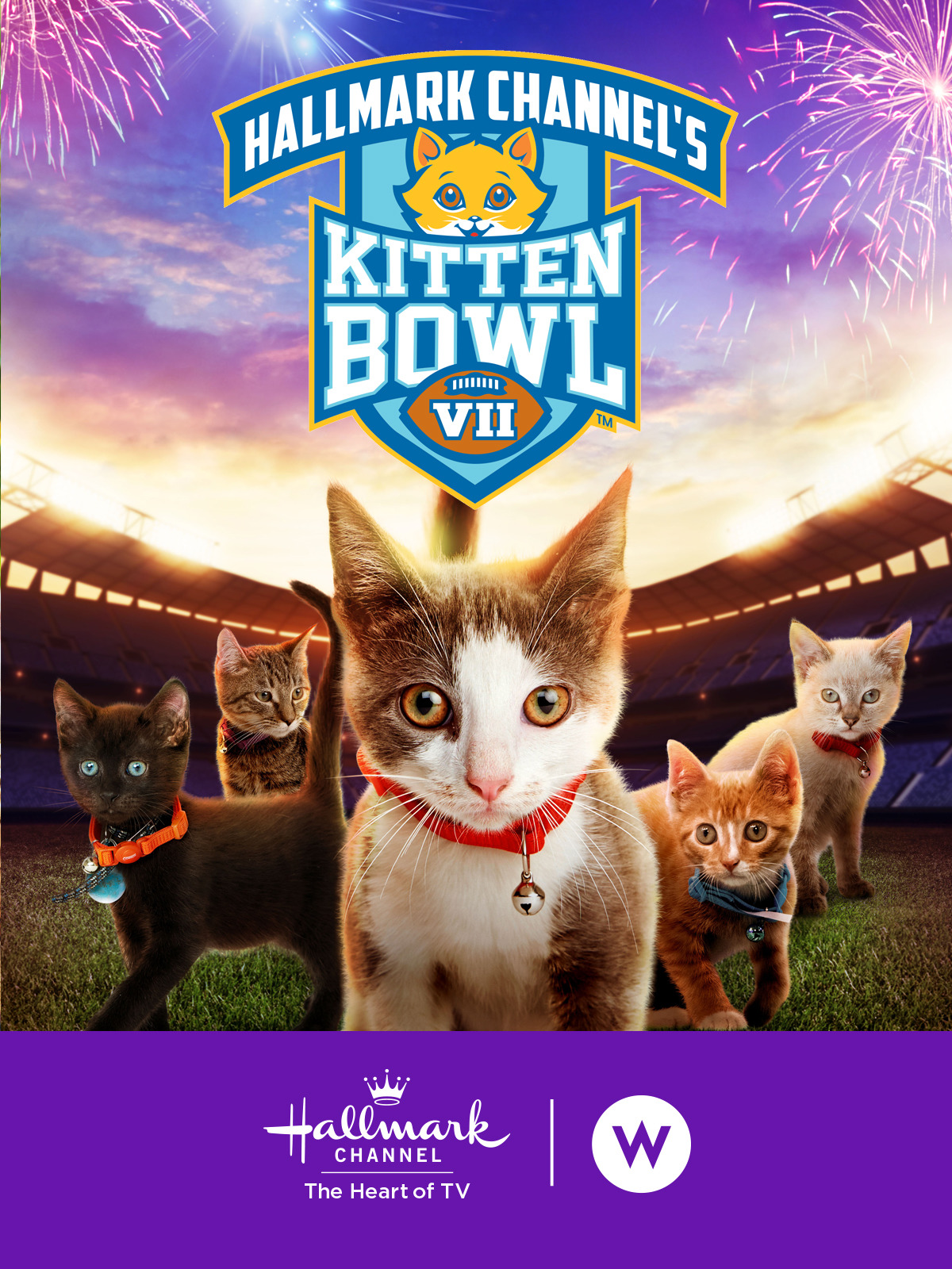 Prime Video: Kitten Bowl VII
