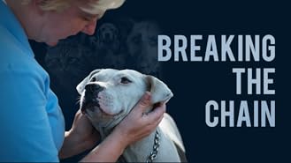 Watch Black Beauty Breed Prime Video