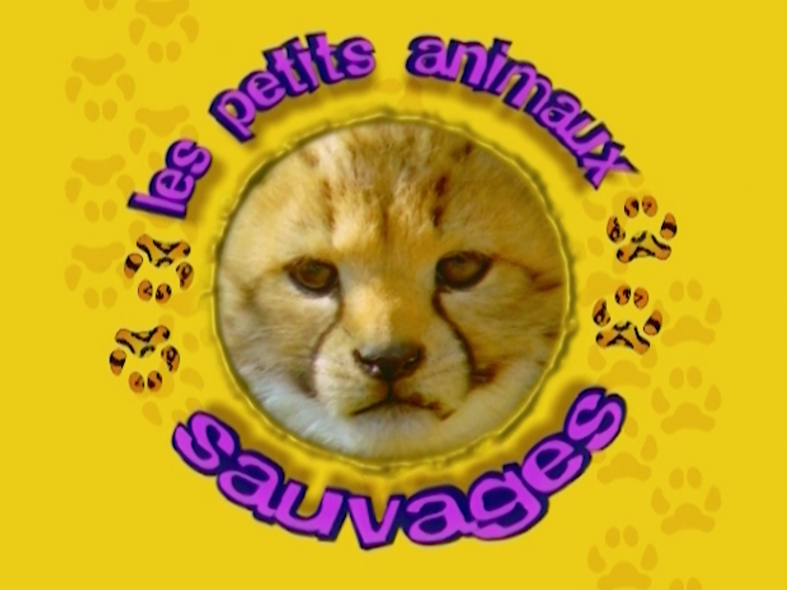 Prime Video Les Petits Animaux Sauvages