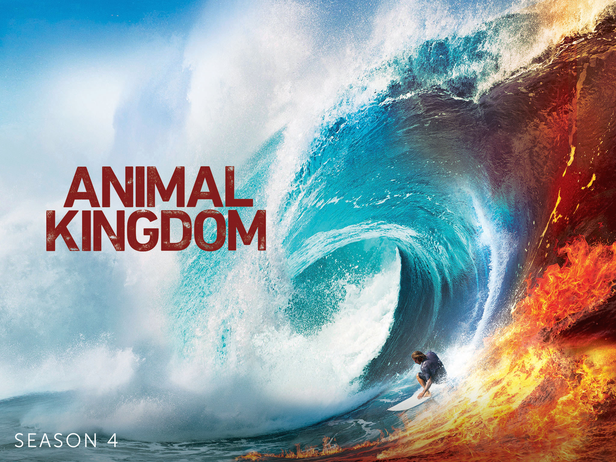 Prime Video Animal Kingdom Season 4
