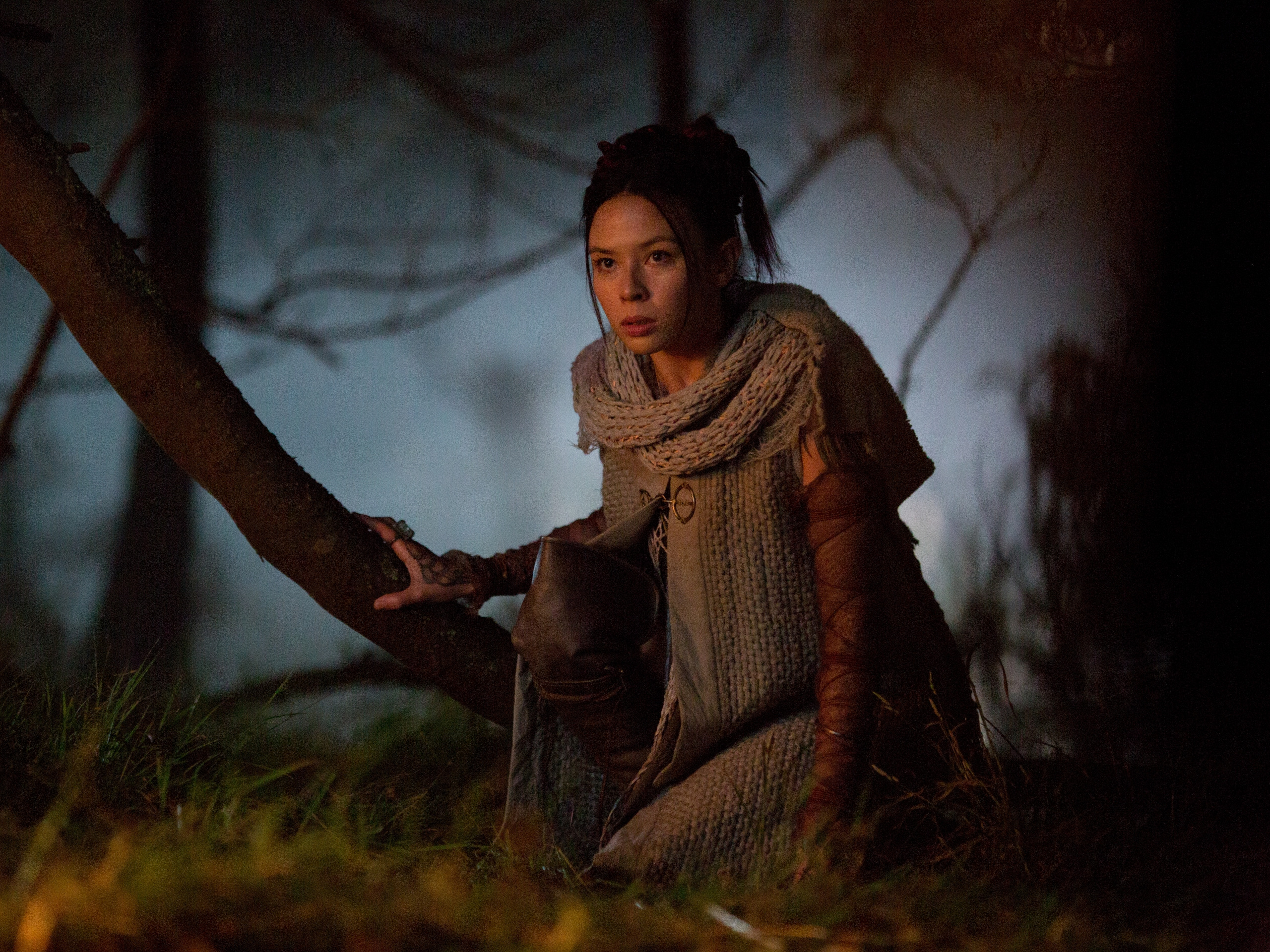 Prime Video The Shannara Chronicles Staffel 2 [dt./OV]
