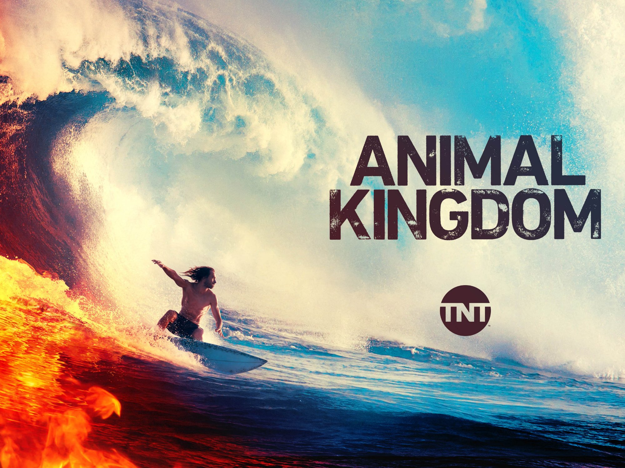 Prime Video Animal Kingdom Season 4
