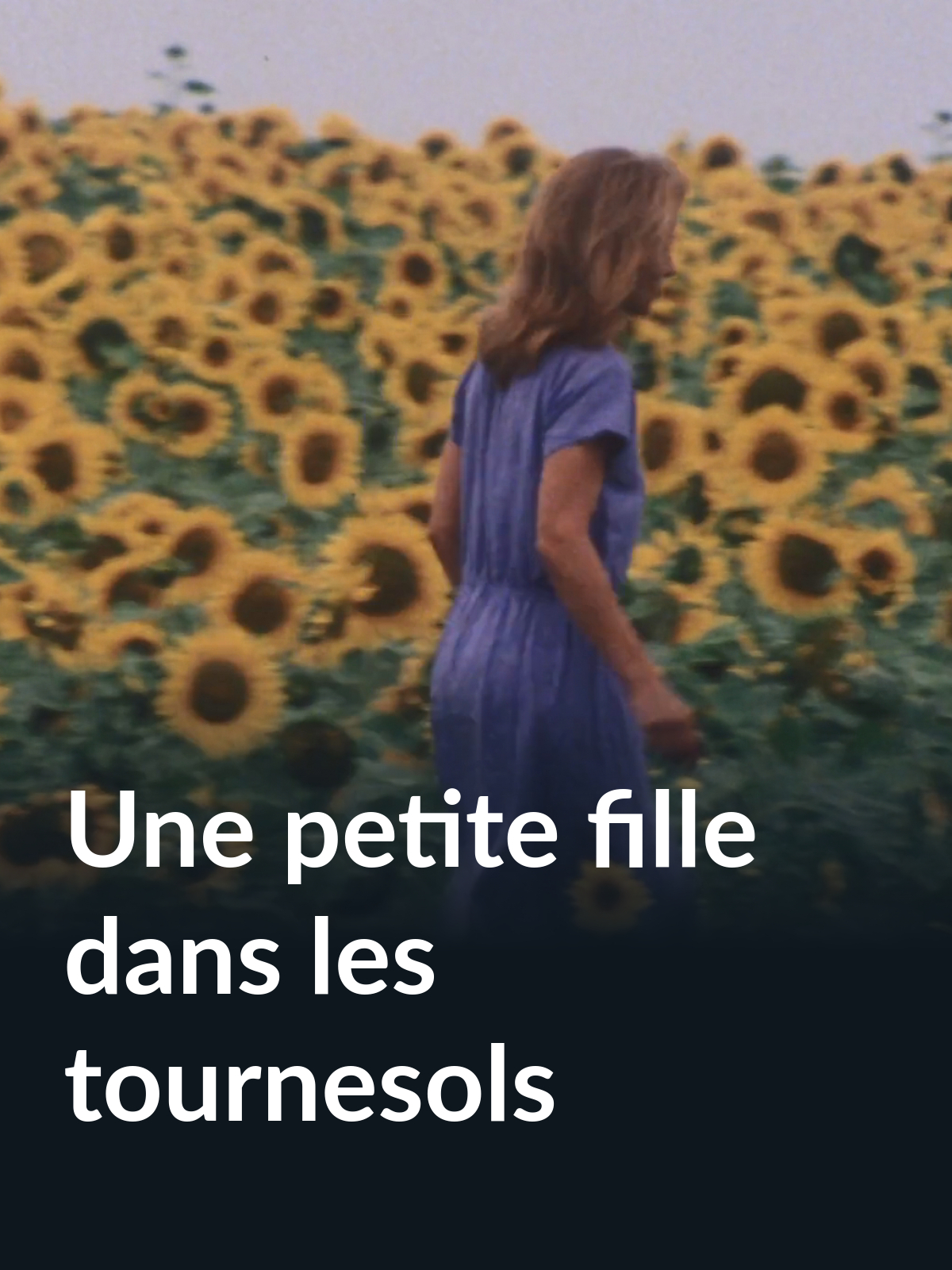 Prime Video Une petite fille dans les tournesols