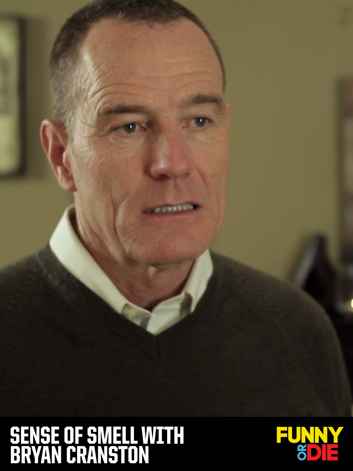 Prime Video Sense of Smell with Bryan Cranston