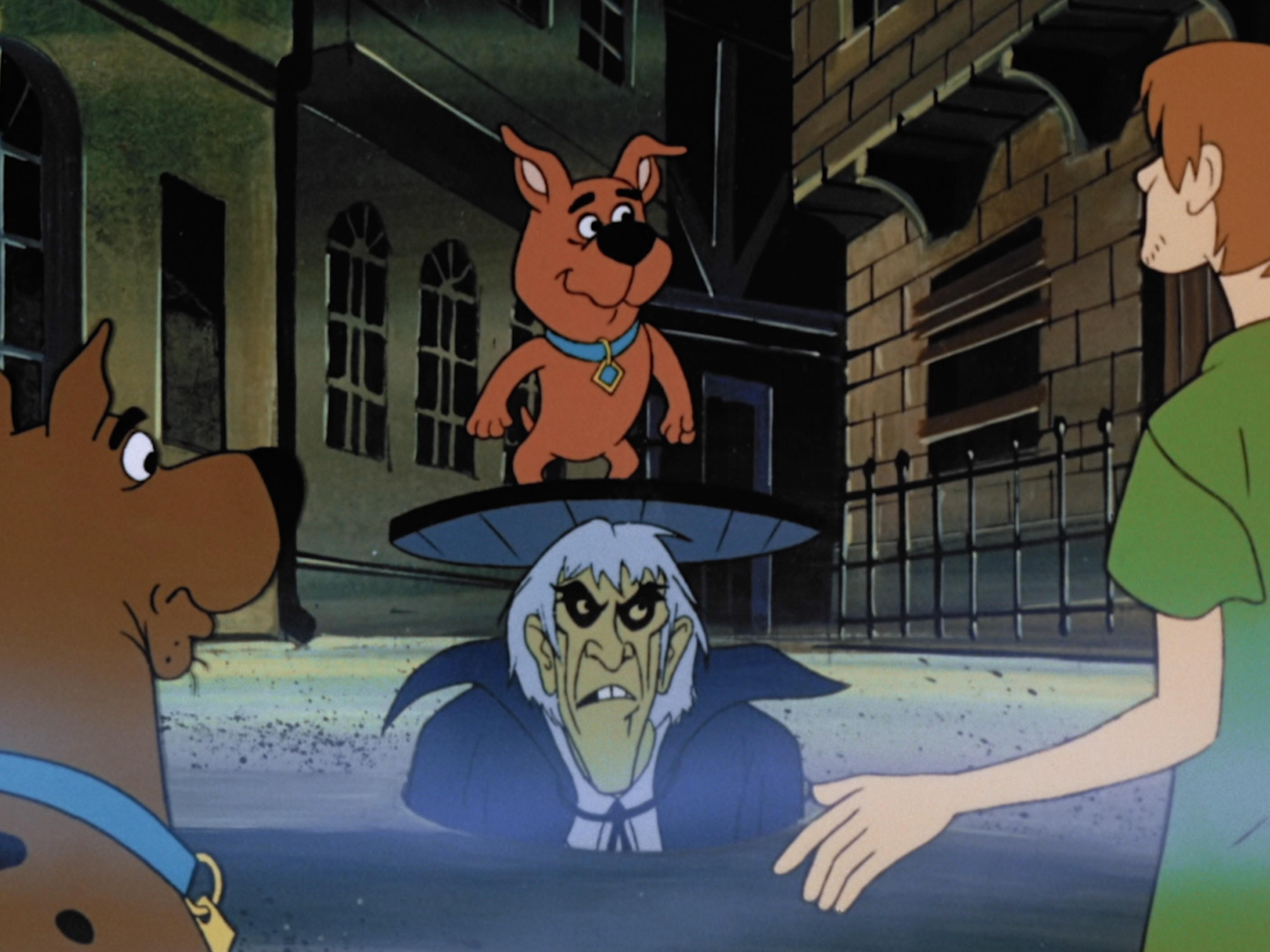 Prime Video ScoobyDoo and ScrappyDoo Season 1