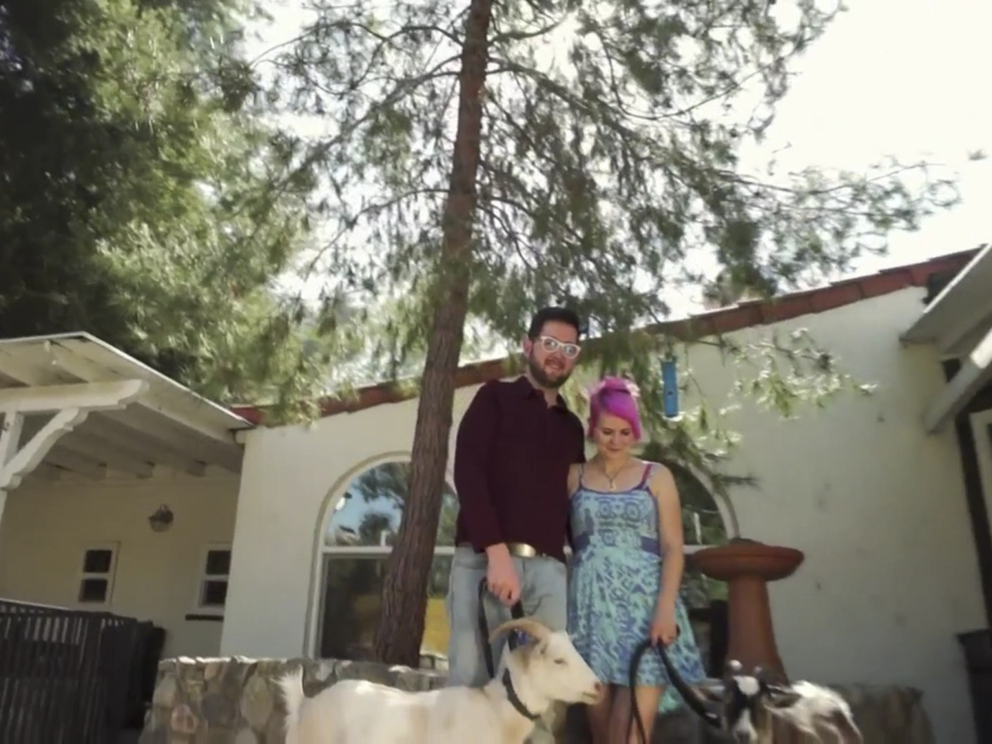 Prime Video Animal Cribs Season 2