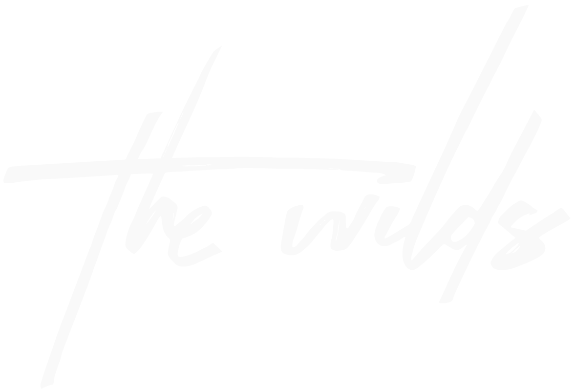 Watch The Wilds | Prime Video