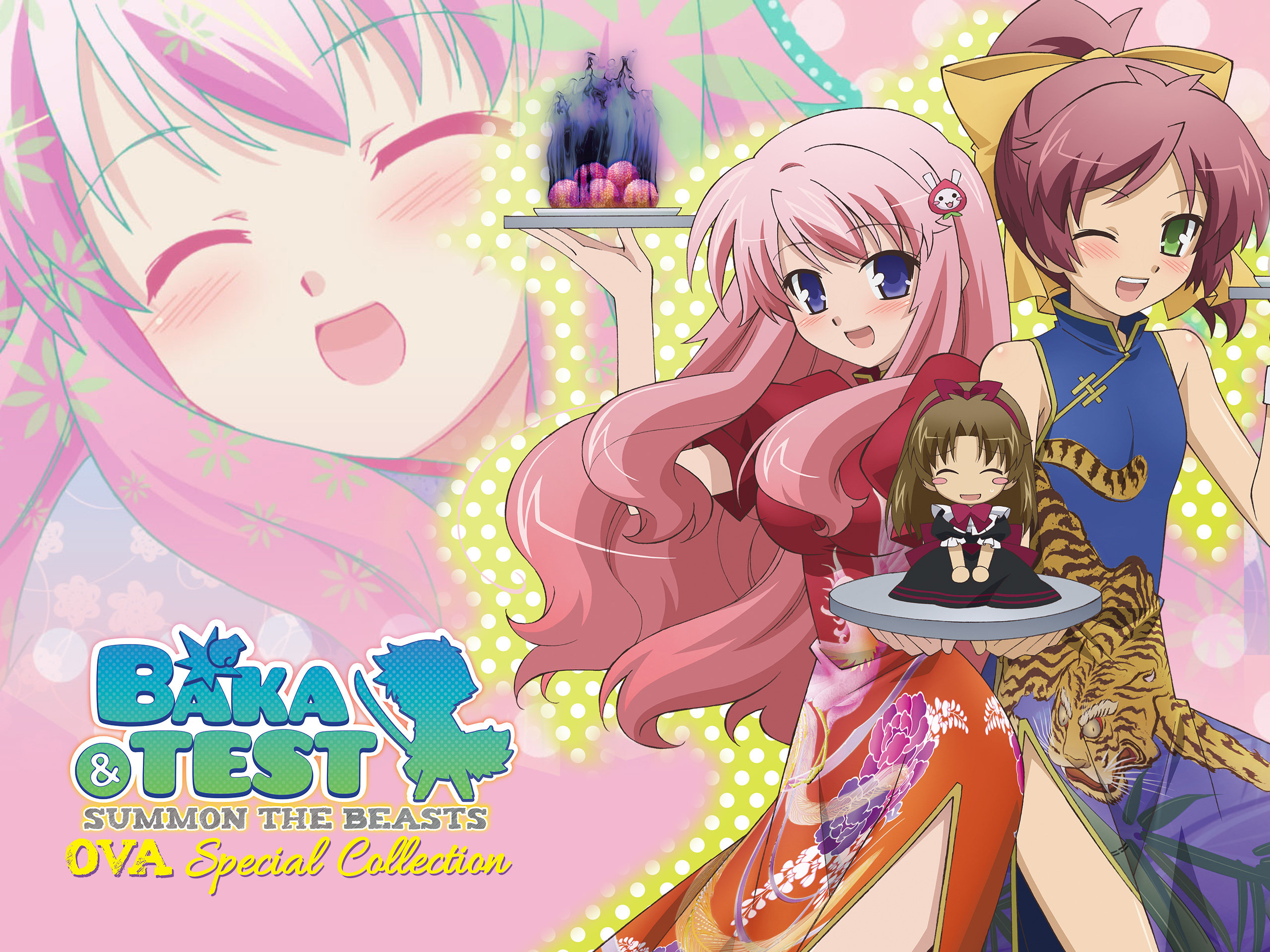 baka & test summon the beasts