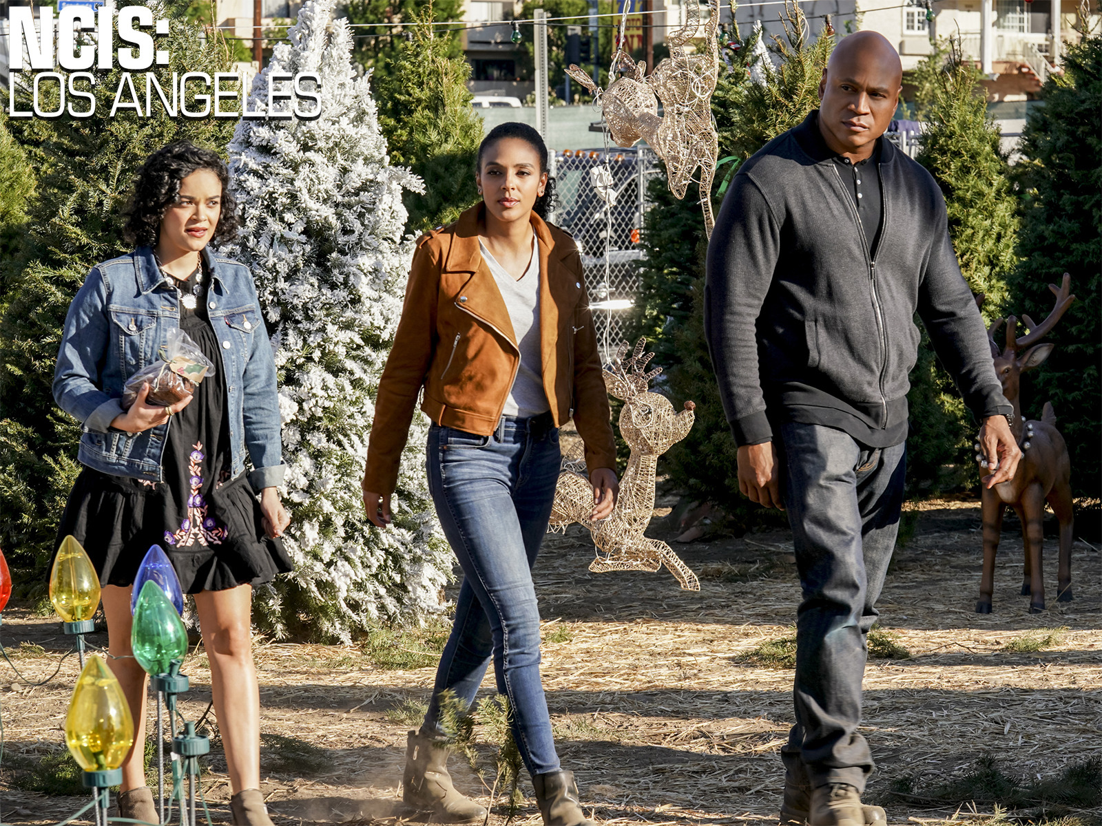 Prime Video: NCIS: Los Angeles - Season 10