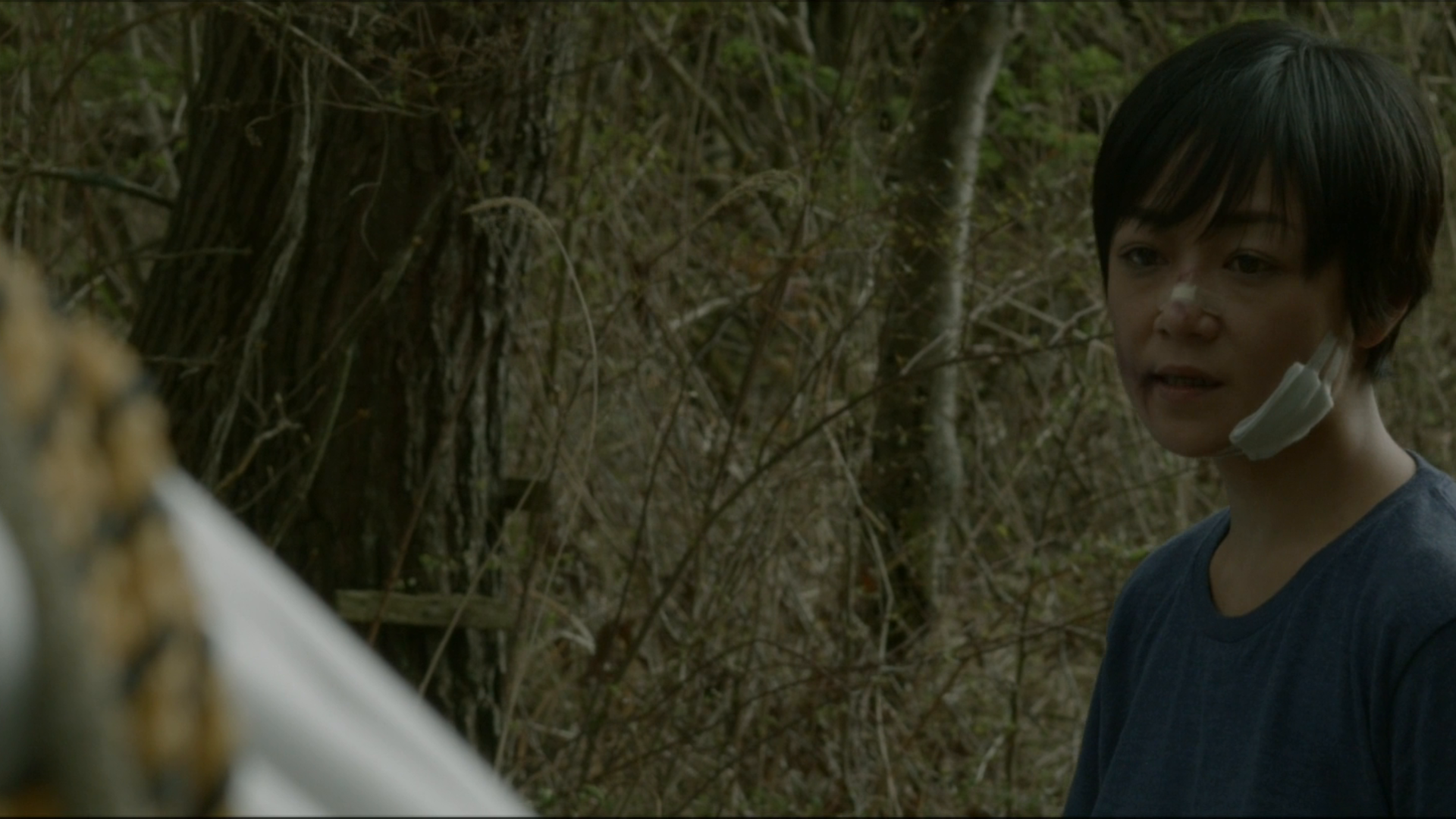 Amazon Co Jp アルビノを観る Prime Video