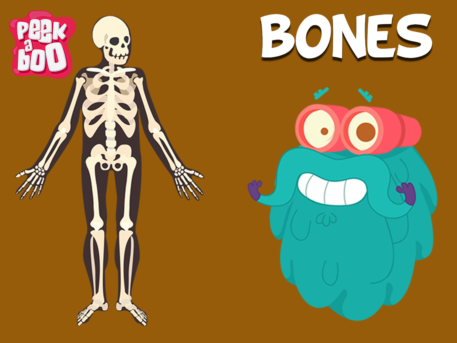 Prime Video Dr. Binocs Show Educational Videos For Kids