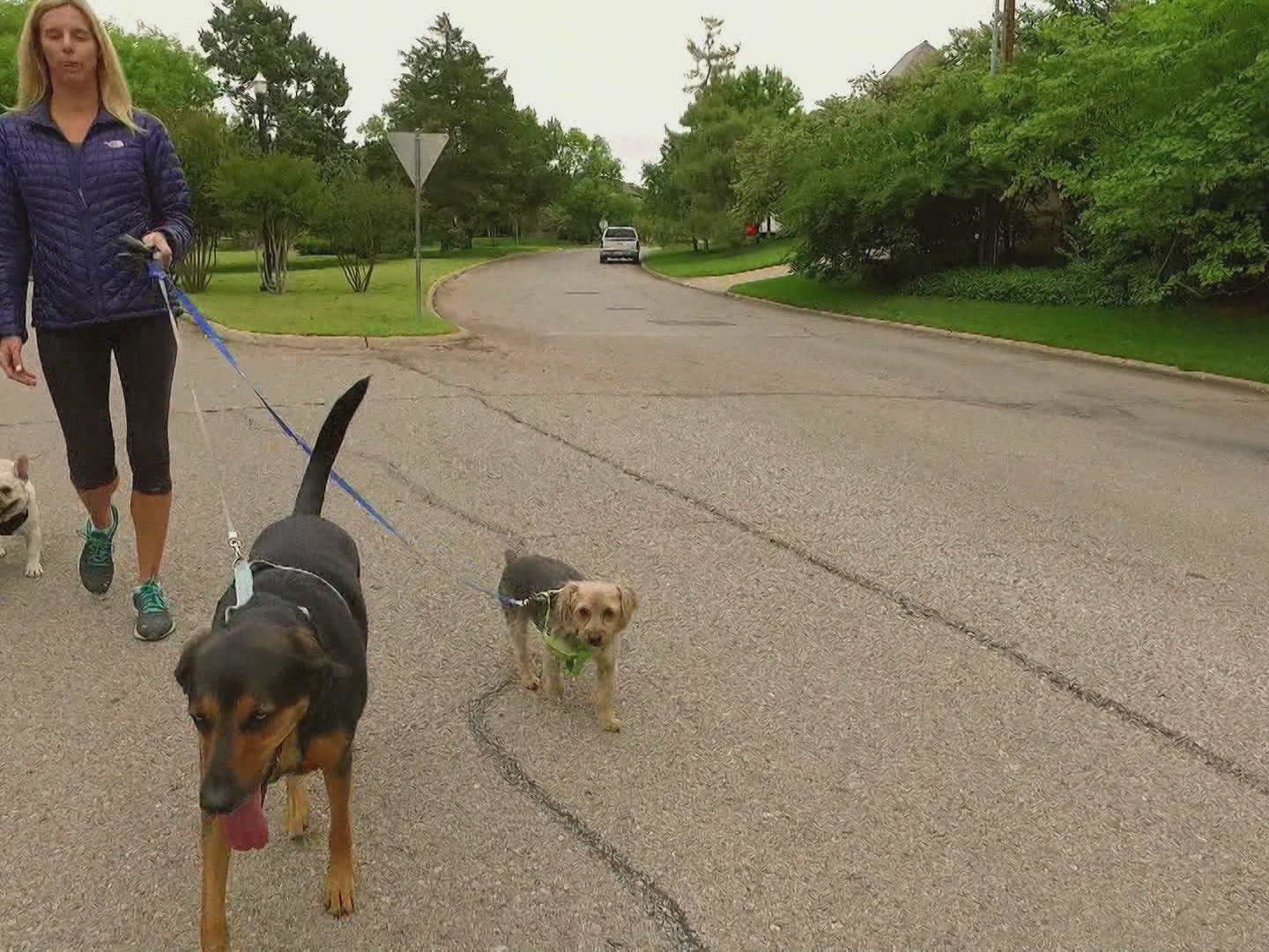 Prime Video Sweet Home Oklahoma Season 1