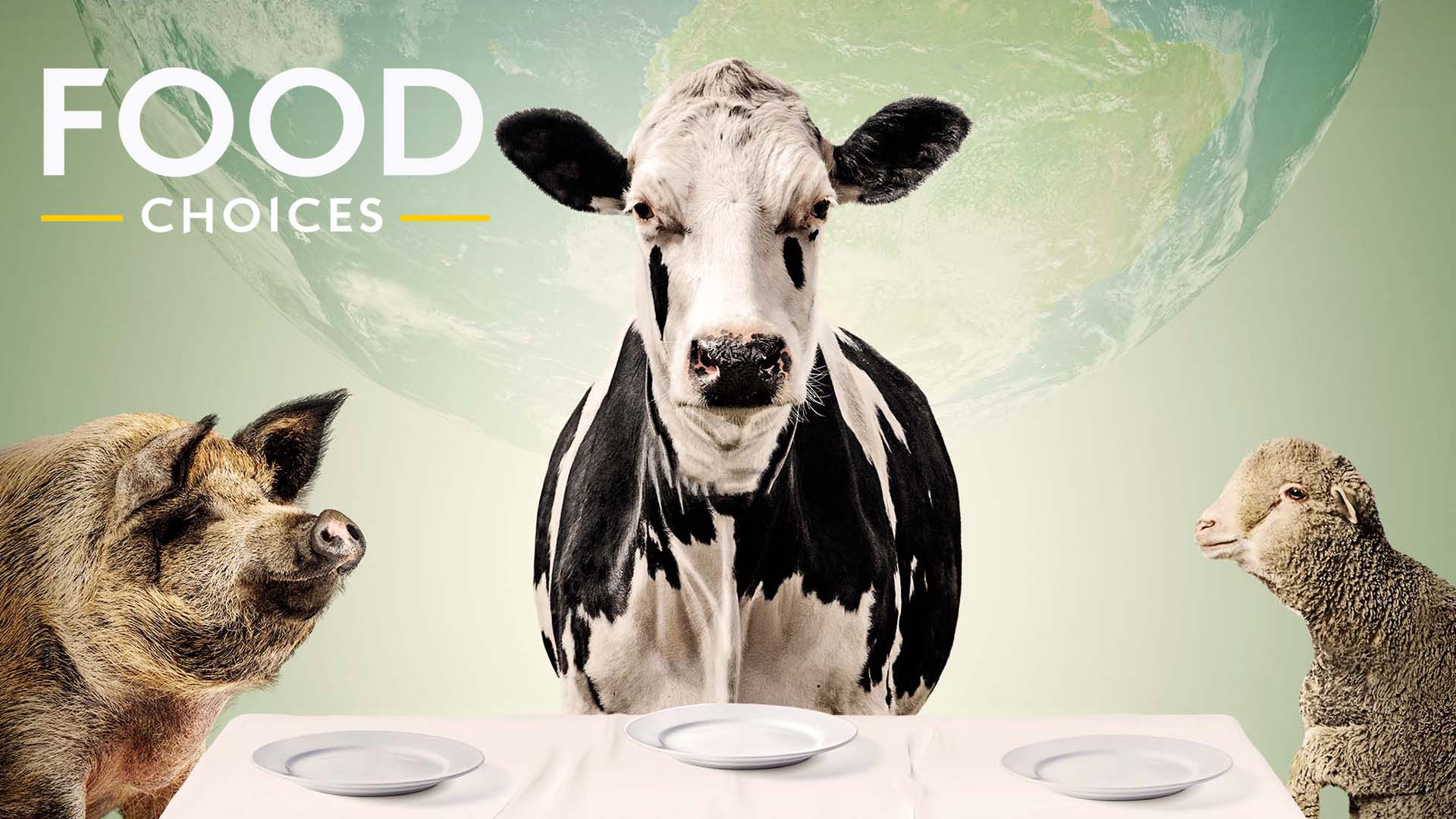 pet fooled documentary netflix