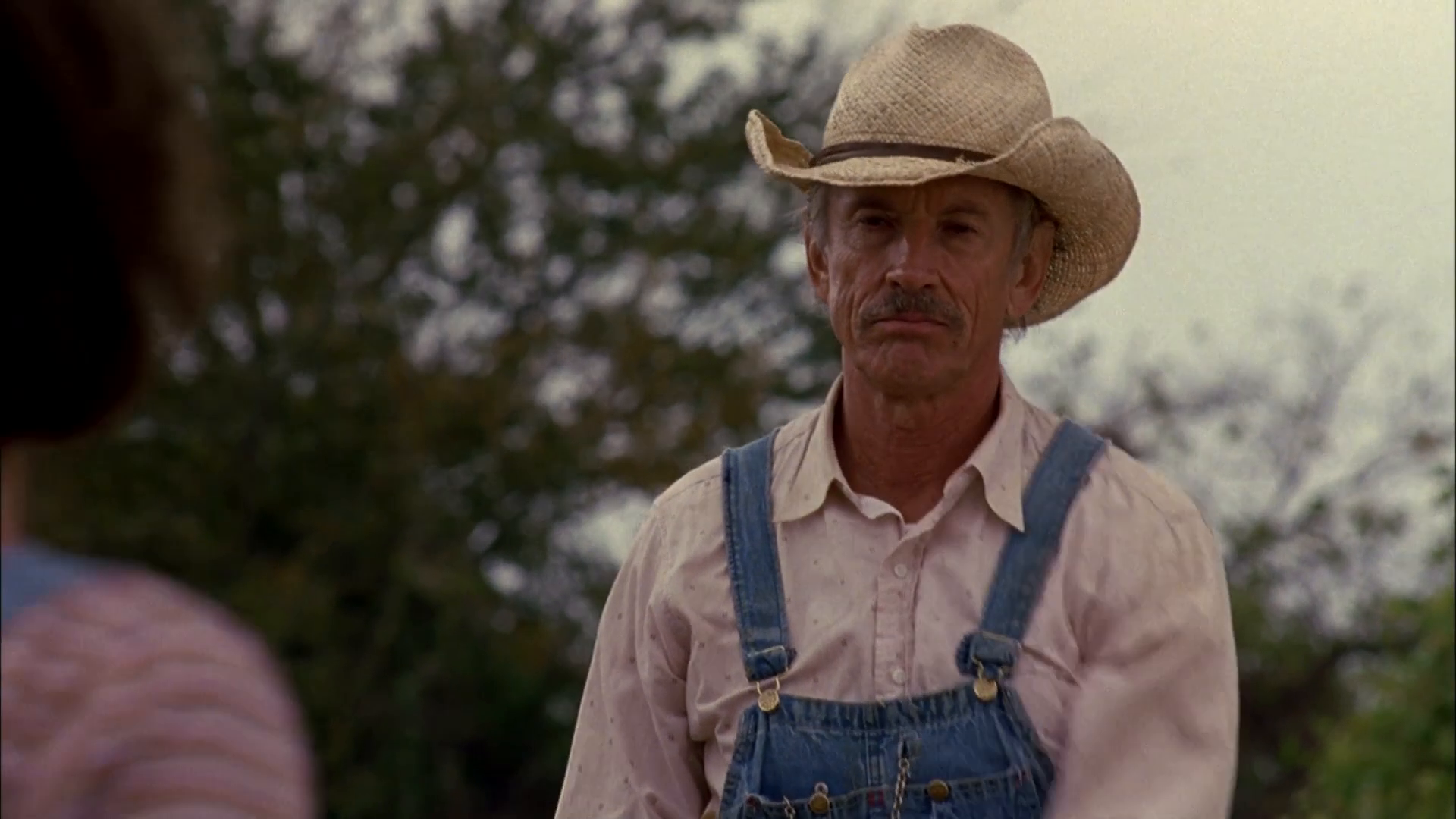 A Painted House Alfonso Arau Movies & TV