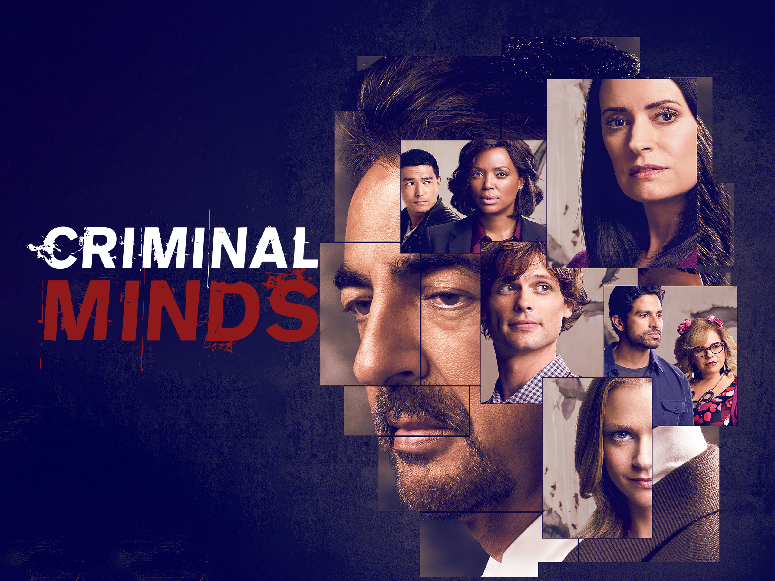 Prime Video: Criminal Minds - Season 14