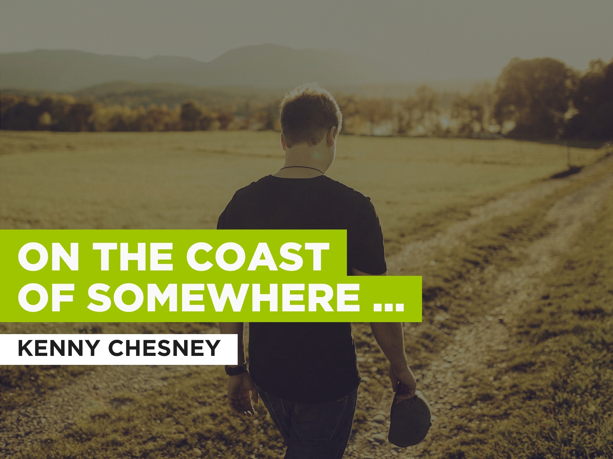 Dekenny Chesney Sacramento - cd03ilw
