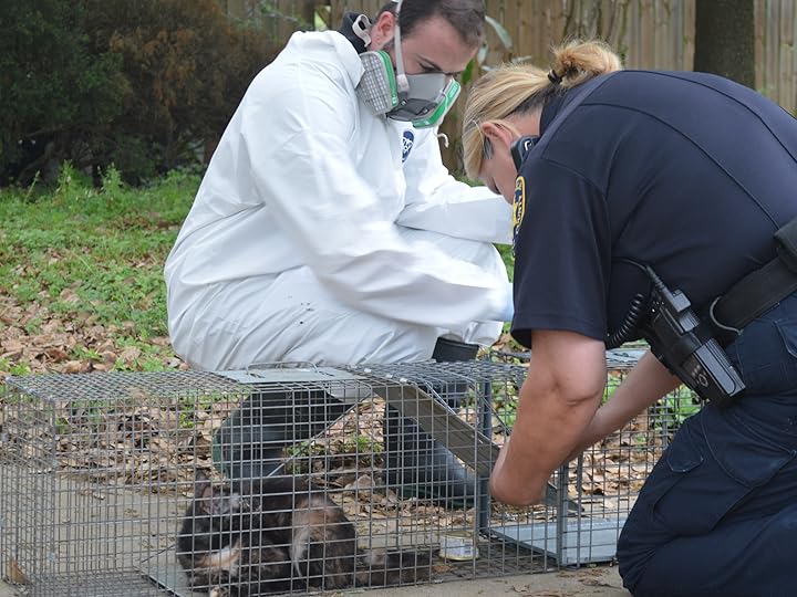 Prime Video Animal Cops Houston Season 9