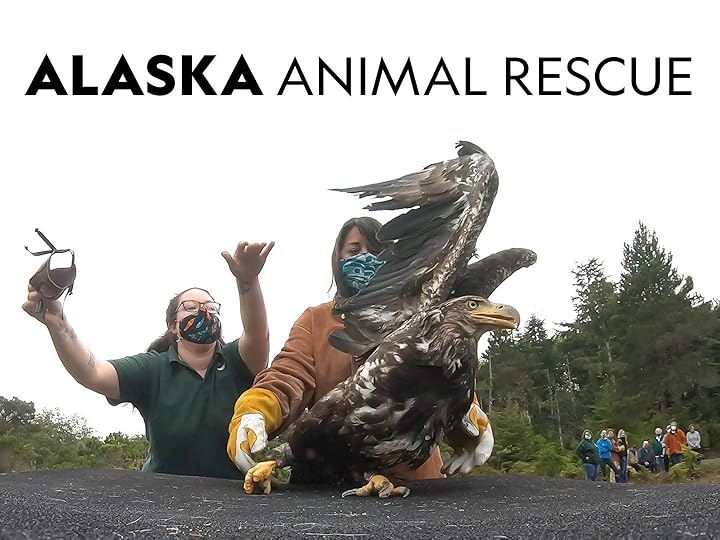 Prime Video Alaska Animal Rescue Season 2