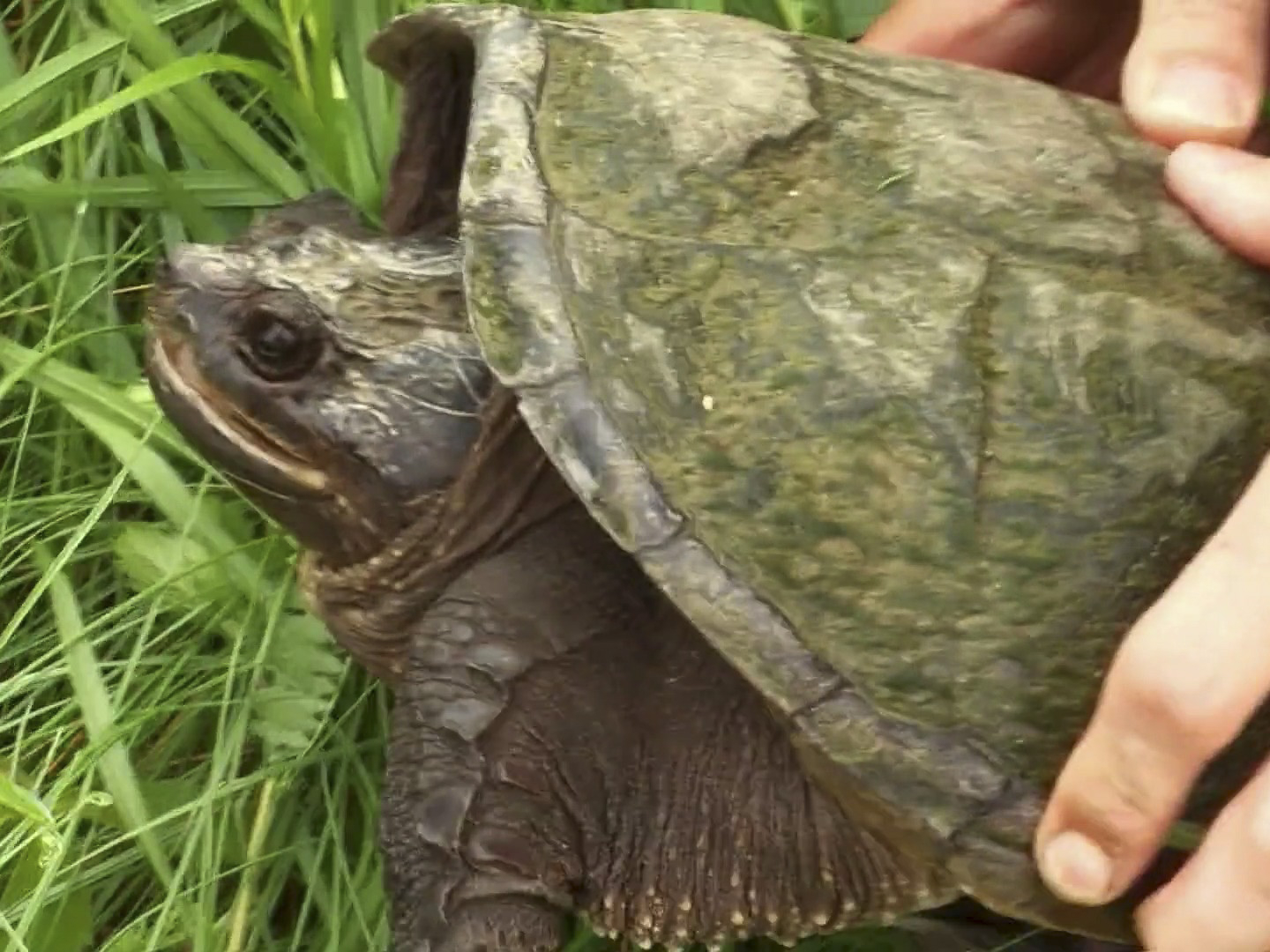 Prime Video North Woods Law Season 3