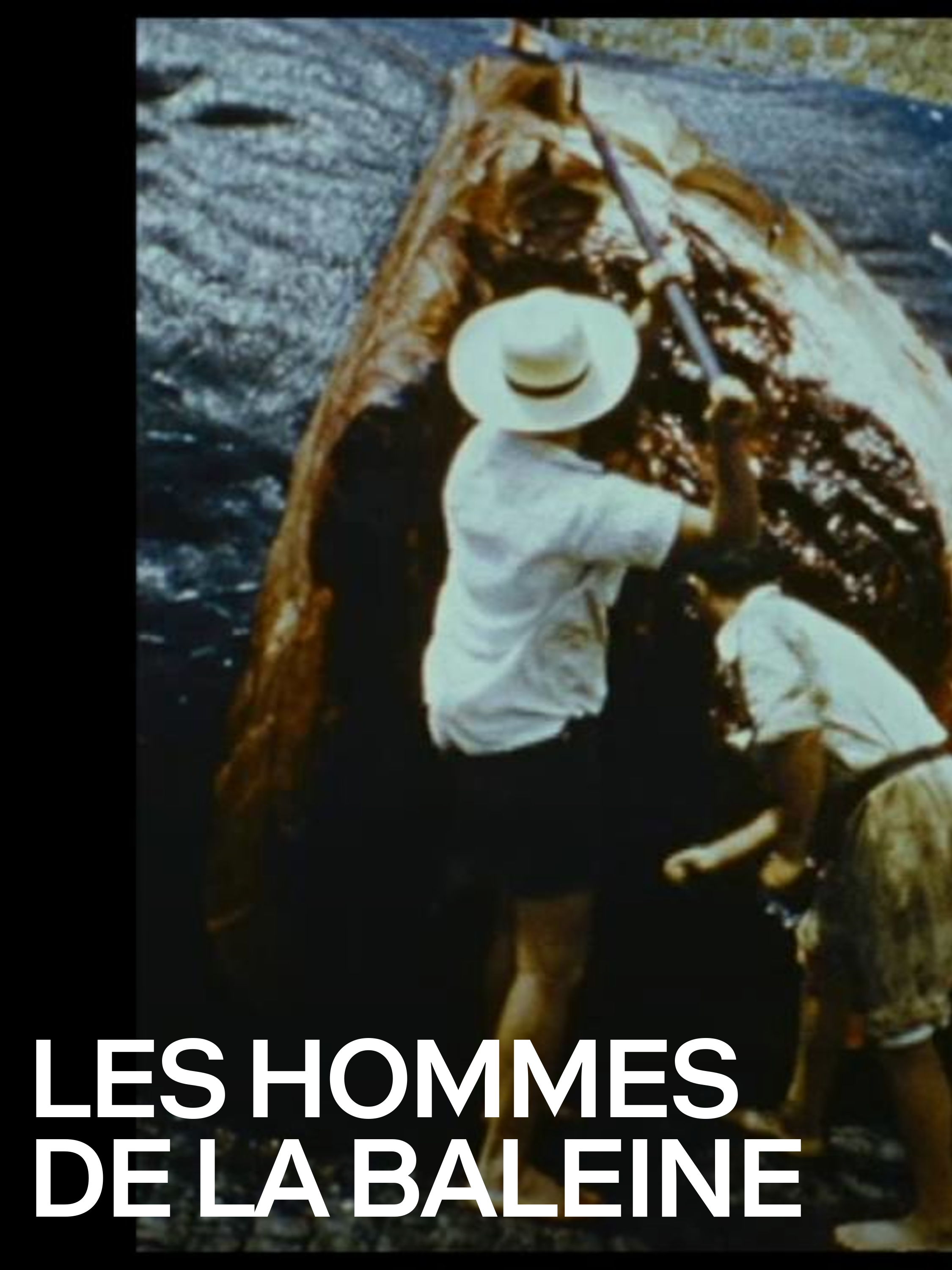 Prime Video Les hommes de la baleine