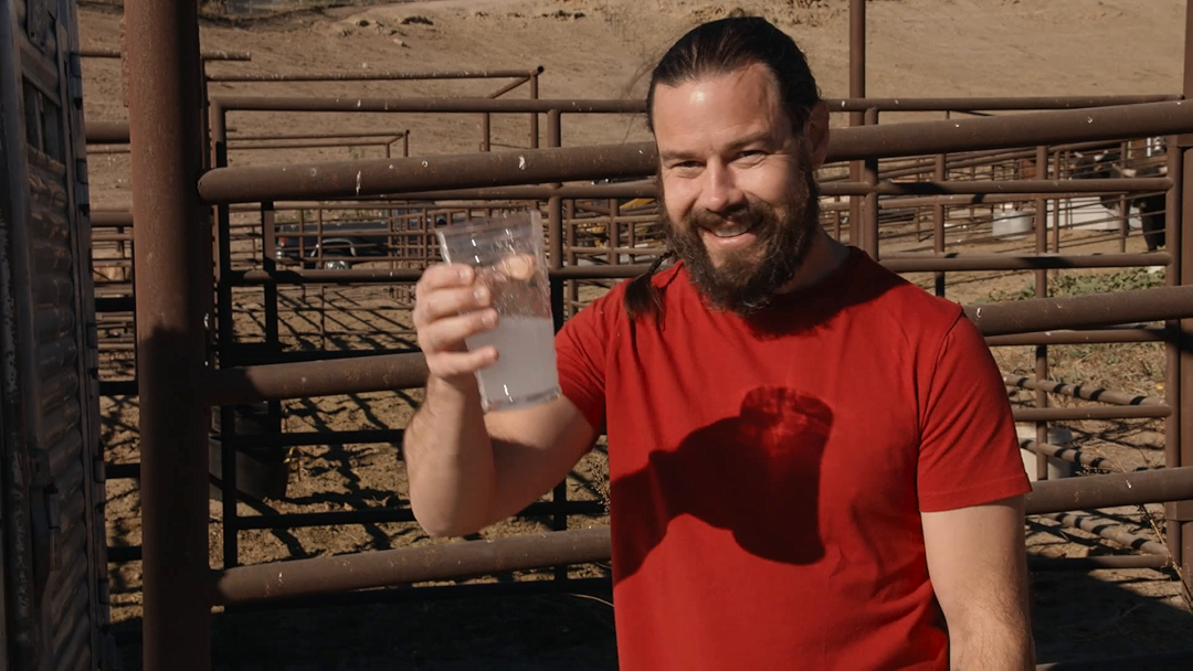 Prime Video jackass forever