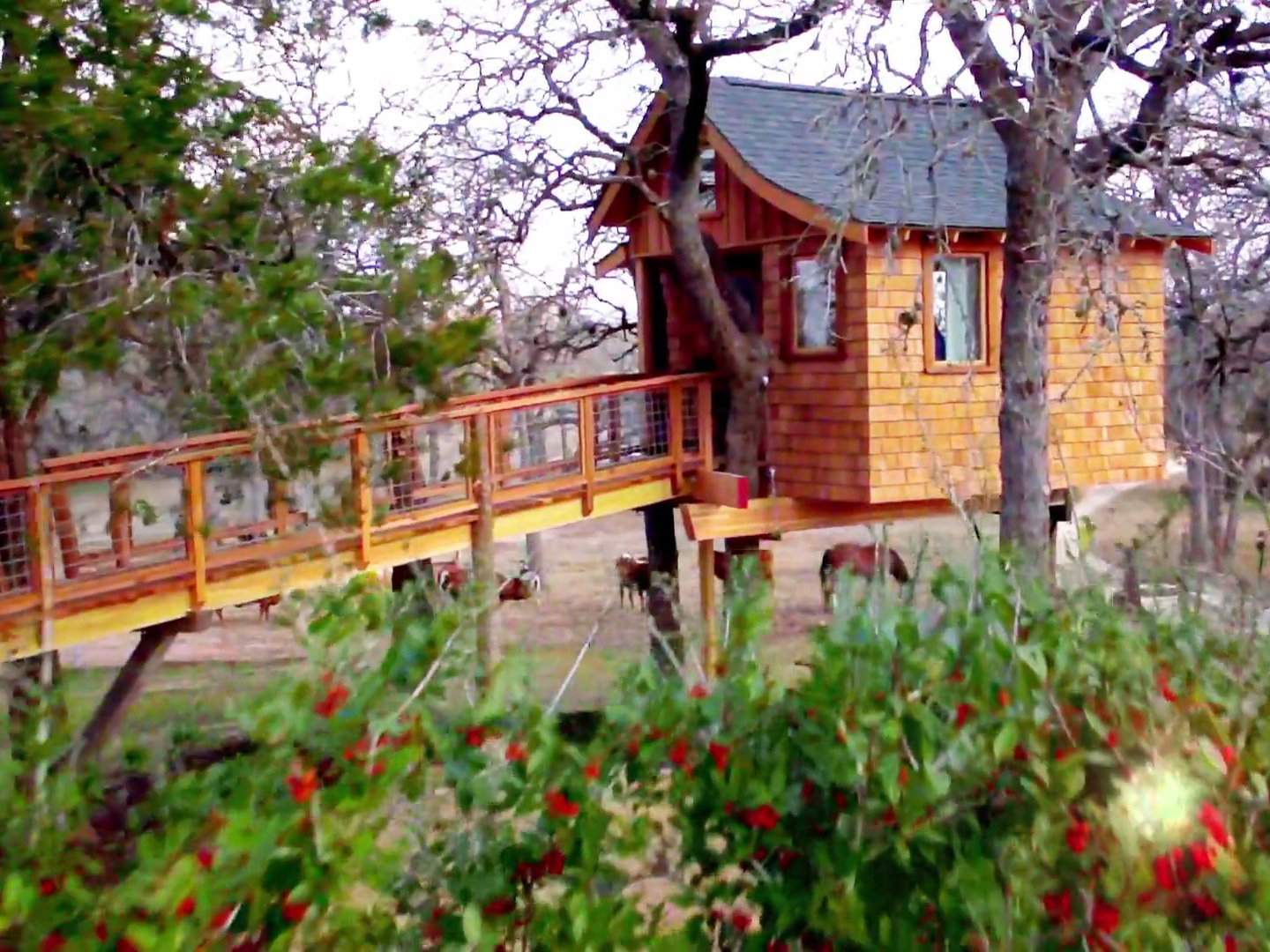 Prime Video Treehouse Masters Season 1