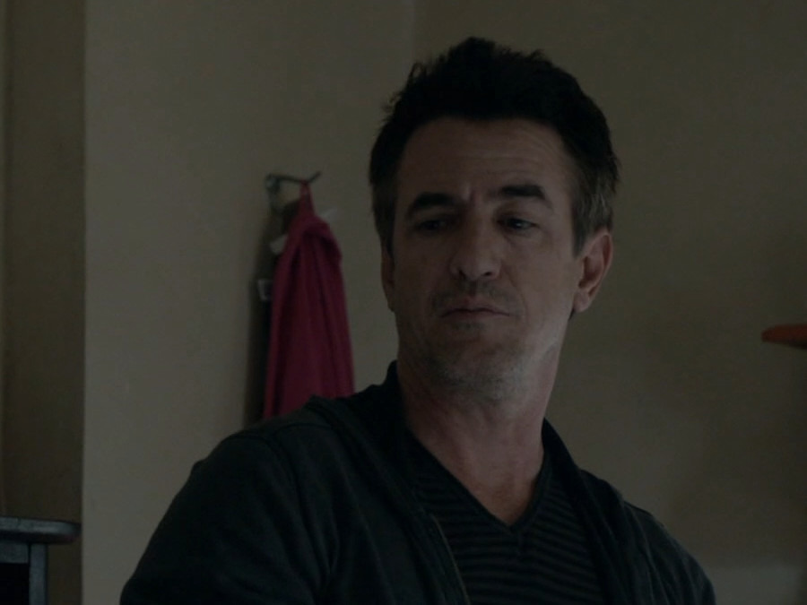 Prime Video Shameless Staffel 6 [OV/OmU]