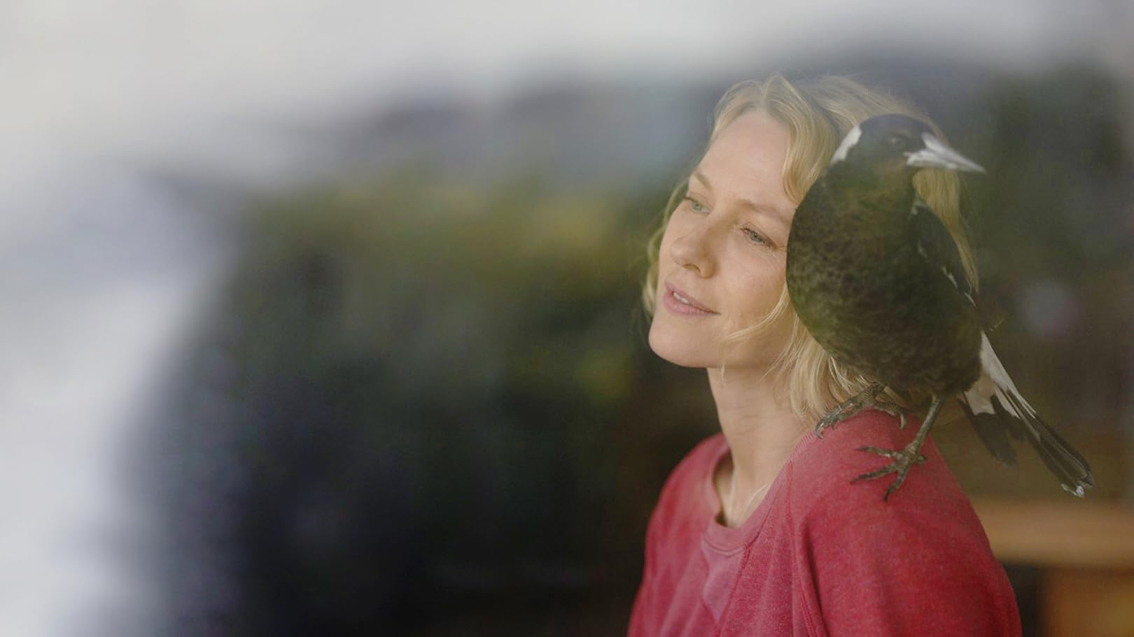 Prime Video Penguin Bloom