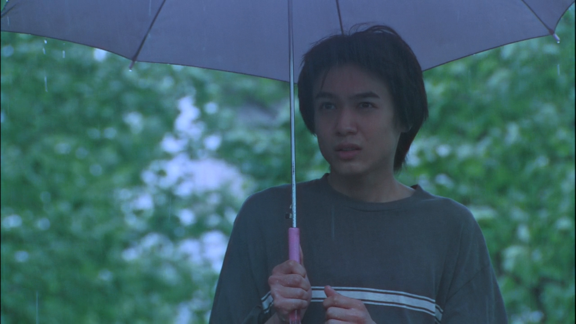Amazon Co Jp 花とアリス 鈴木杏 蒼井優 郭智博 相田翔子 阿部寛 平泉成 木村多江 大沢たかお 広末涼子 岩井俊二 岩井俊二 Prime Video