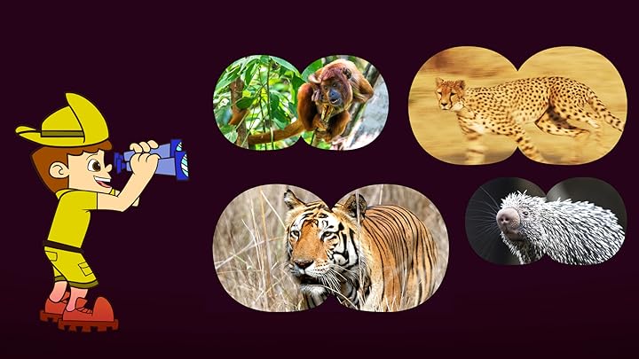 Amazon.de Jungle Jim Theme Intro [OV] ansehen Prime Video