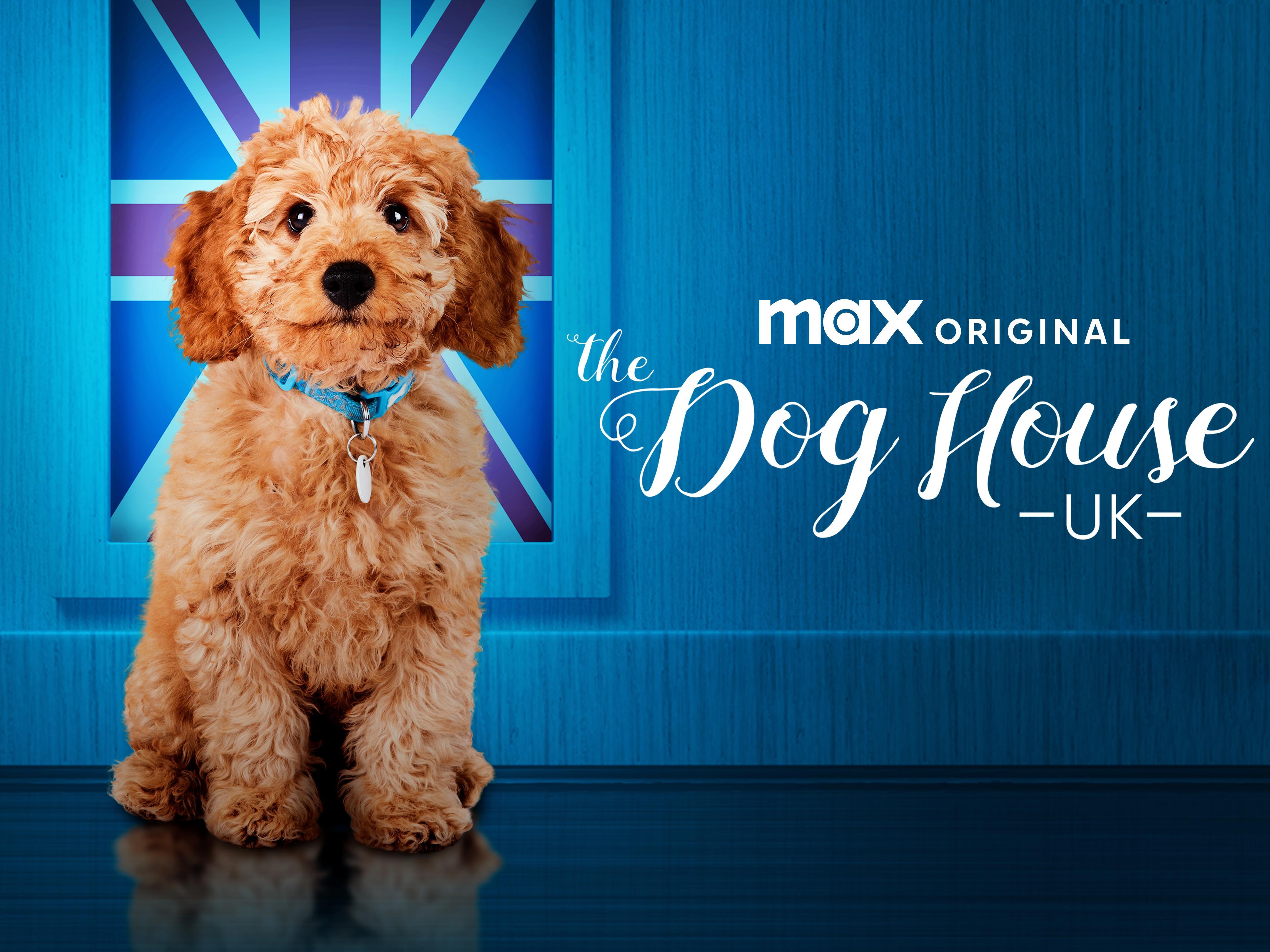 Prime Video The Dog House UK, Season 4