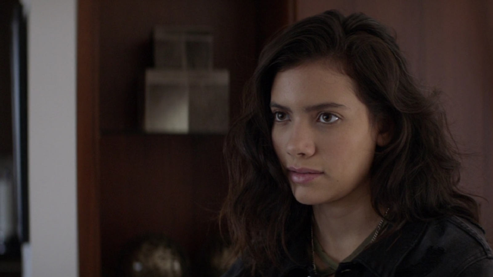 Watch Animal Kingdom Season 4 Prime Video