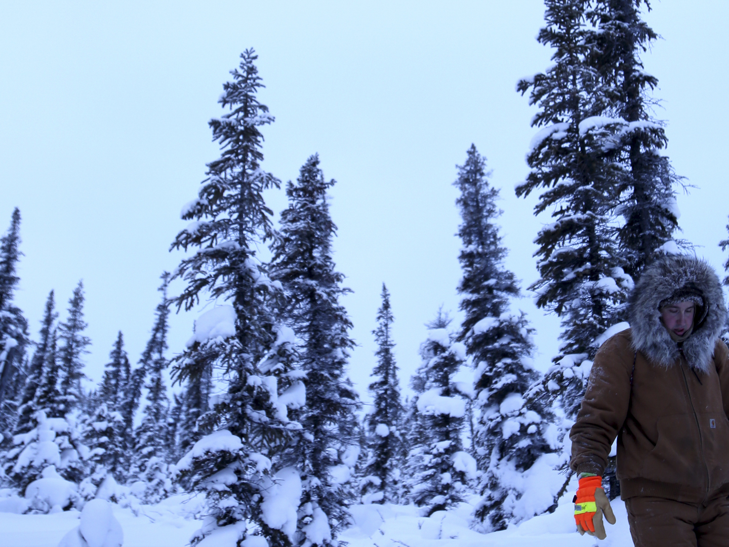 Prime Video: The Last Alaskans - Season 4