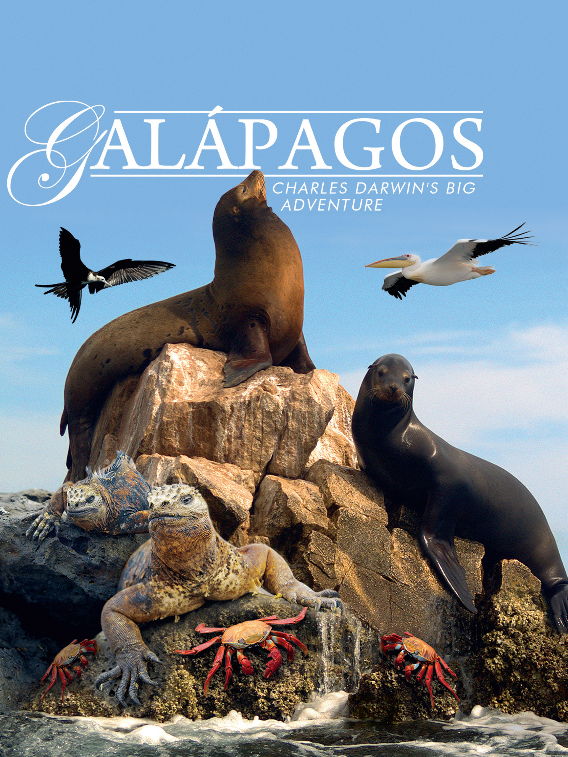 Prime Video Galapagos Charles Darwin's Big Adventure