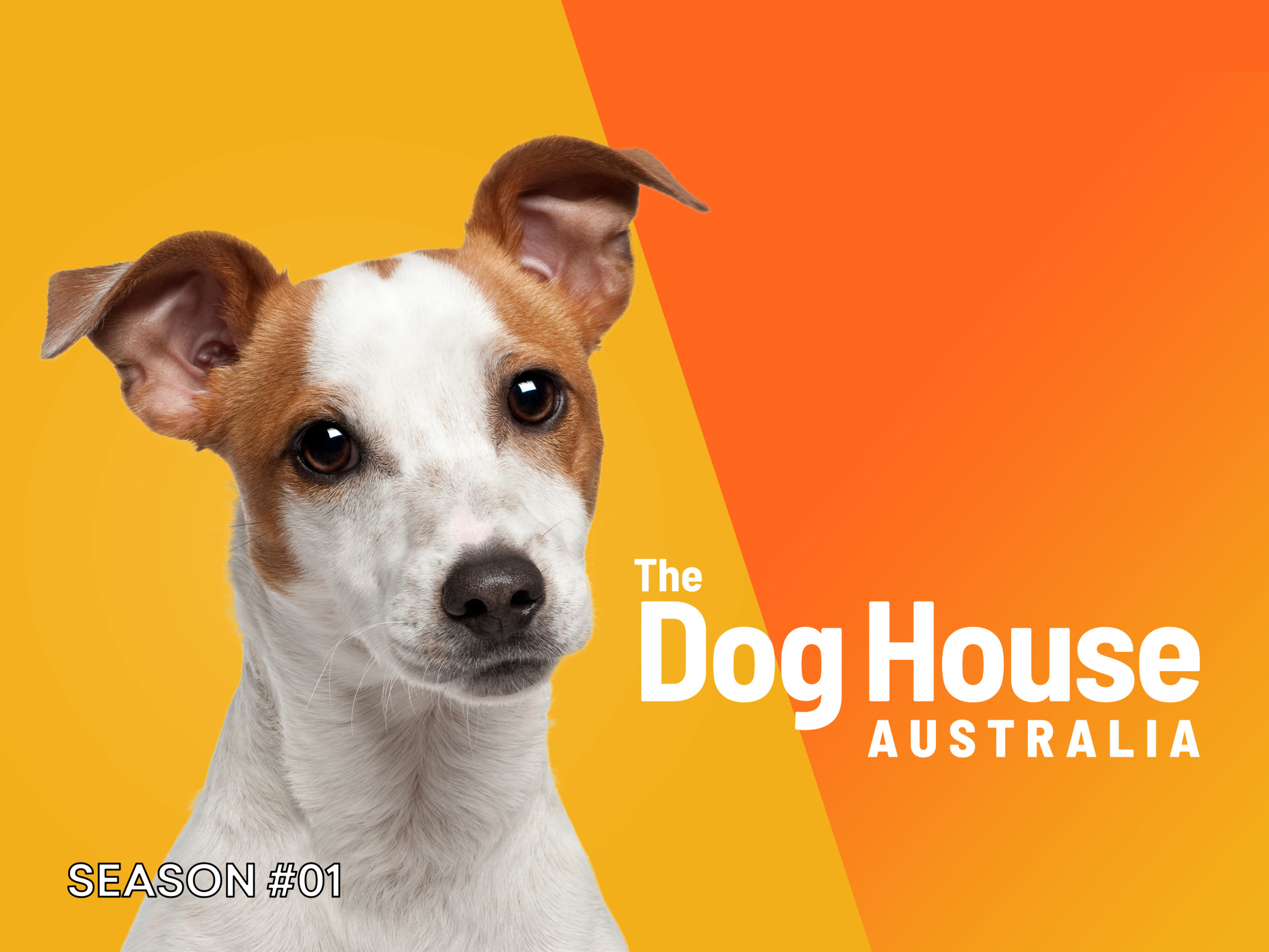 Prime Video The Dog House Australia Season 1