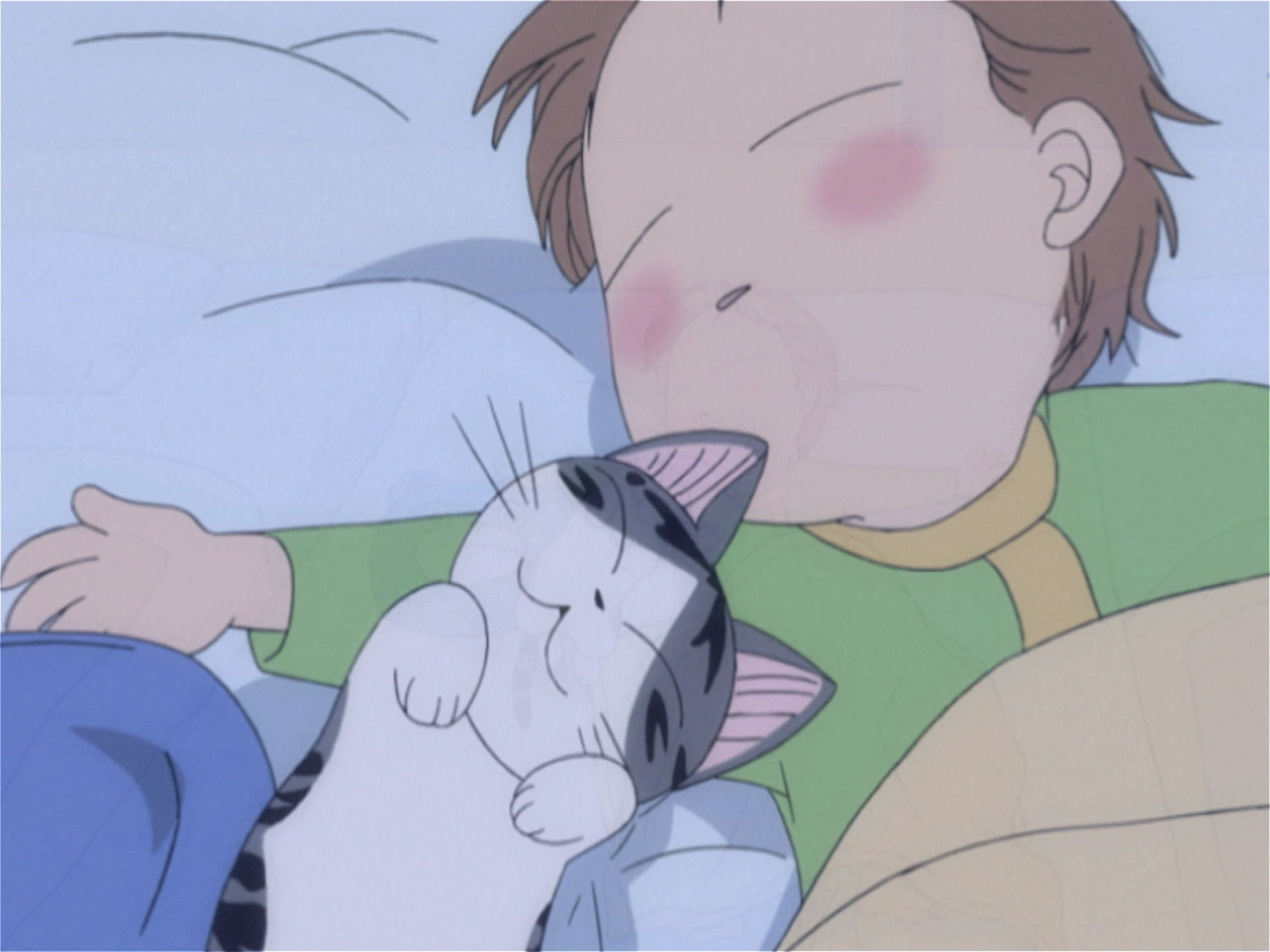 Prime Video Chi Une Vie De Chat