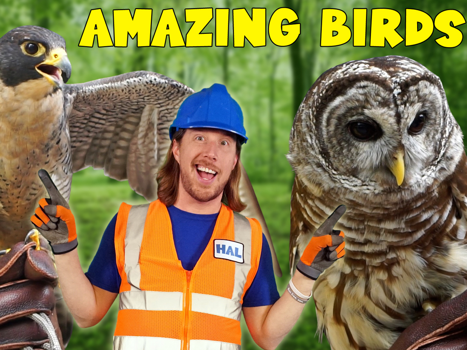 Prime Video Handyman Hal