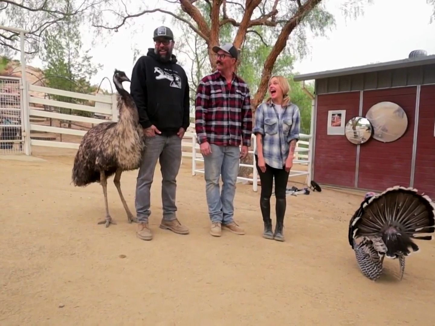 Prime Video Animal Cribs Season 2