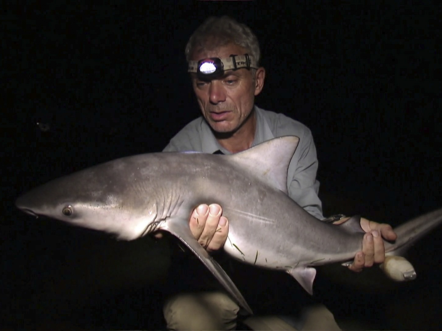Prime Video River Monsters Season 1