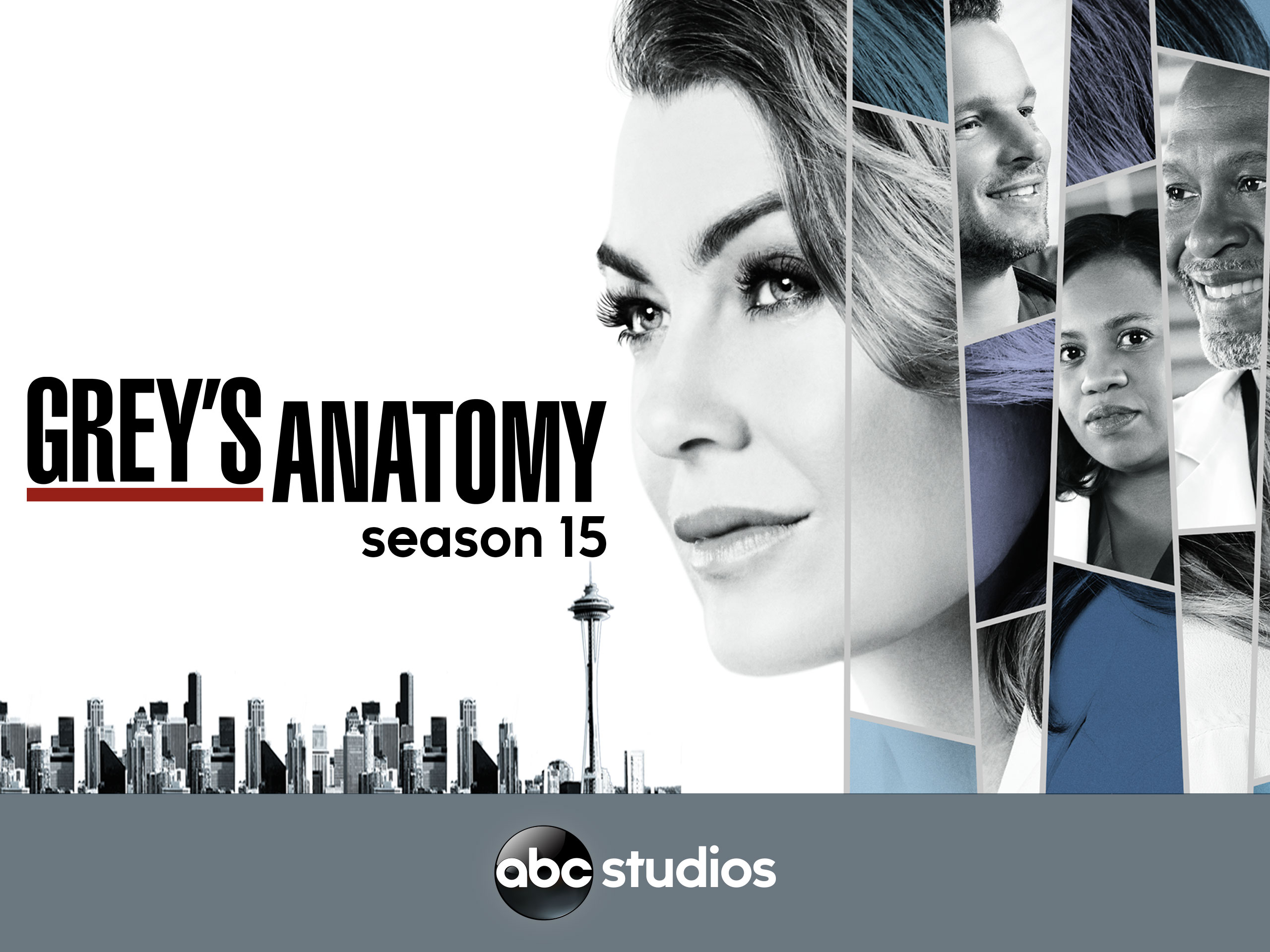 Prime Video: Grey's Anatomy Season 15