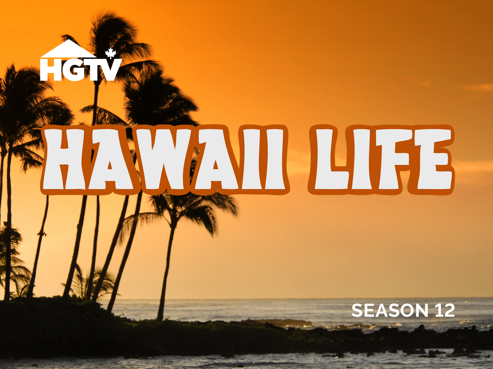 Prime Video: Hawaii Life - Season 12