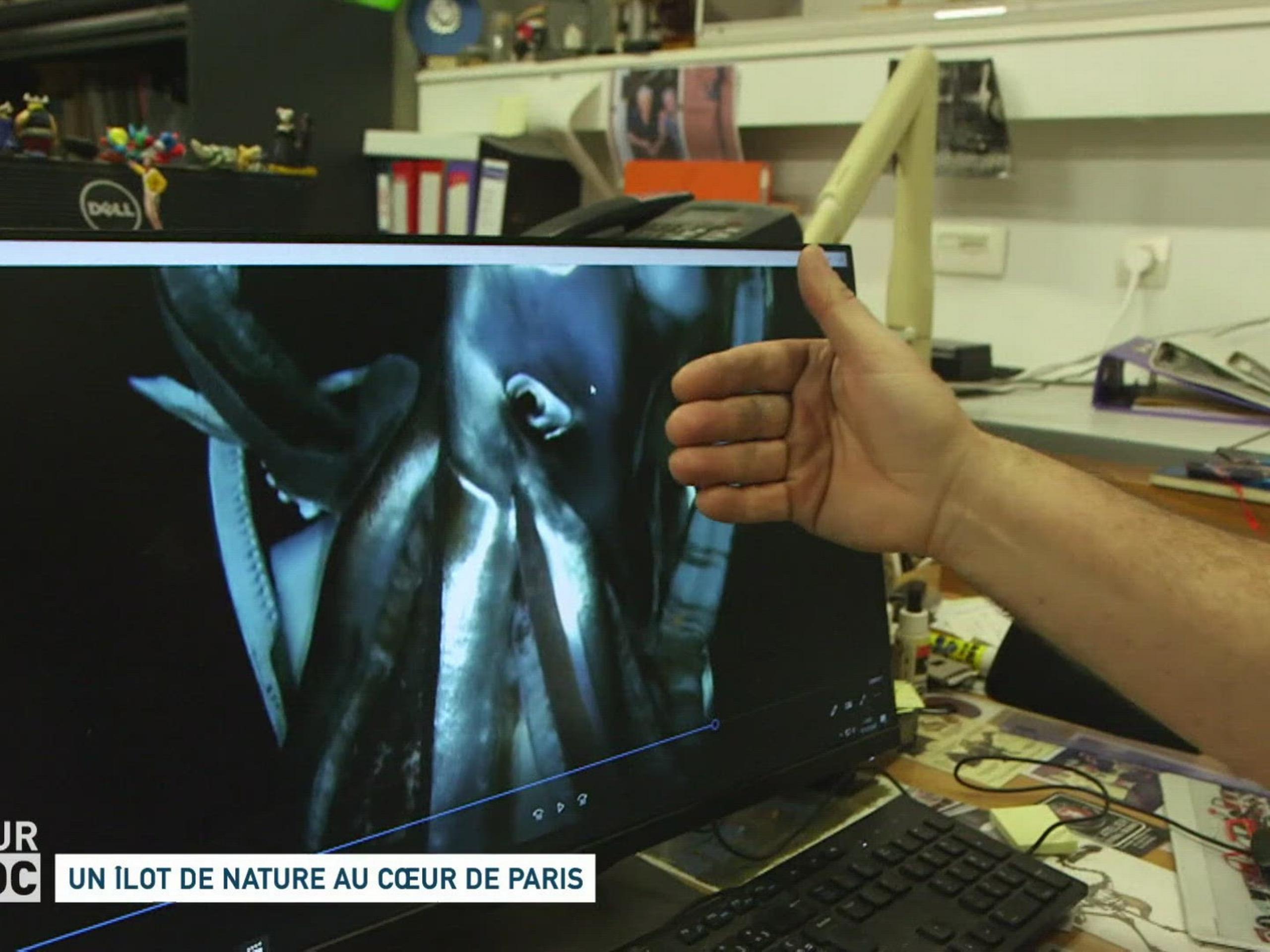 Prime Video Un jour, un doc Saison 1 Prime Video Un jour, un doc Saison 1