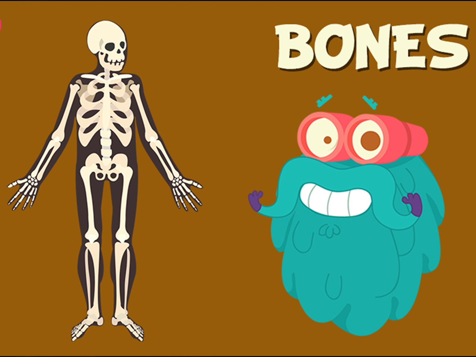 Prime Video The Dr. Binocs Show